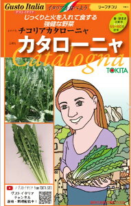 [t`R  J^[j C^A  gL^  c OXgC^A   ƒ؉ v   _ ZNg