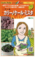 ケール 種 カリーノケール・ミスタ イタリア 野菜 種 トキタ 種 苗 グストイタリア おいしい 種類 家庭菜…