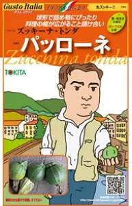 ズッキーニ 種 パッローネ イタリア 野菜 種 トキタ 種 苗 グストイタリア おいしい 種類 家庭菜園 プロ向け 大袋 小袋 農家 セレクト