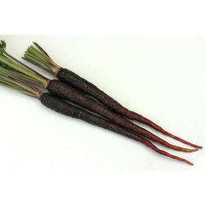 jW  o[jJE_ C^A   gL^  c OXgC^A   v _ ZNg ɂ񂶂 lQ  c  ^l v ƒ؉   ܂  