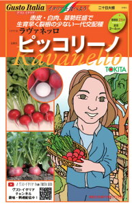 ハツカダイコン 種 ピッコリーノ イタリア 野菜 種 トキタ 種 苗 グストイタリア おいしい 種類 家庭菜園 プロ向け 大袋 小袋 農家 セレクト