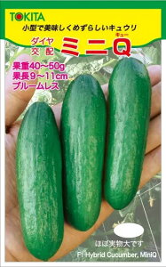 LE  ~jQ gL^  c イ ӉZ ƒ؉ ؂̎ ؉  v^[͔| x_؉ v^[؉ ƒ؉S |S ȒP͔| ؍ ƍ͔| In͔| n