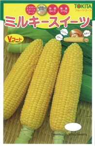 XC[gR[  ~L[XC[c gL^  c   ƒ؉ v   _ ZNg