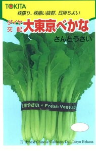 cPi  哌ׂ gL^  c   ƒ؉ v   _ ZNg