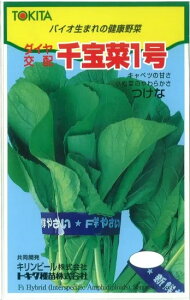 cPi  1 gL^  c   ƒ؉ v   _ ZNg