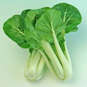 cPi  EBEB`C gL^  c   ƒ؉ v   _ ZNg