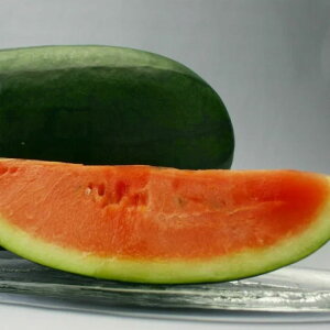 XCJ  ̂܂ gL^  c  ƒ؉ v Â ̔ XCJԐF 햳 q  R͔| ʕ ØI XCJ  XCJ̎ XCJ̕c ʂ ʃXC