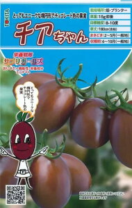 g}g  `A gL^  c   ƒ؉ v   _ ZNg