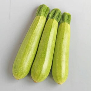 YbL[j  [_EC gL^  c   ƒ؉ v   _ ZNg