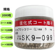 ブロッコリー 種 SK9-099 2000粒 コート 45粒 100粒 320粒 裸種子 種 プロ向け 家庭菜園 サカタのタネ 家…