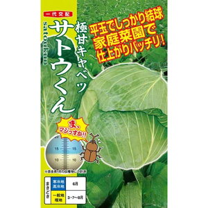 yL2026N2zLxc  TgE ig c ƒ؉ v   _ ZNg  ^l ׂ ×