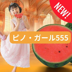  XCJ smEK[555   5 igc ƒ؉ v Â ̔ XCJsmK[ q  R͔| ʕ ØI XCJ  XCJ̎   Ԏ XCJ