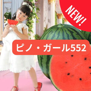  XCJ smEK[552   5 igc ƒ؉ v Â ̔ XCJsmK[ q  R͔| ʕ ØI XCJ  XCJ̎   Ԏ XCJ