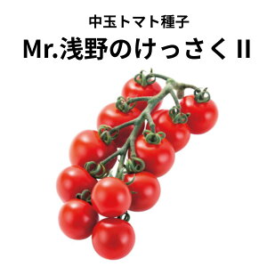  g}g  Mr.̂2 y15z z nӍ̎    ^l v ƒ؉ _ ZNg  g}g   g}g̎ Â i ؎  ؉ ƒ