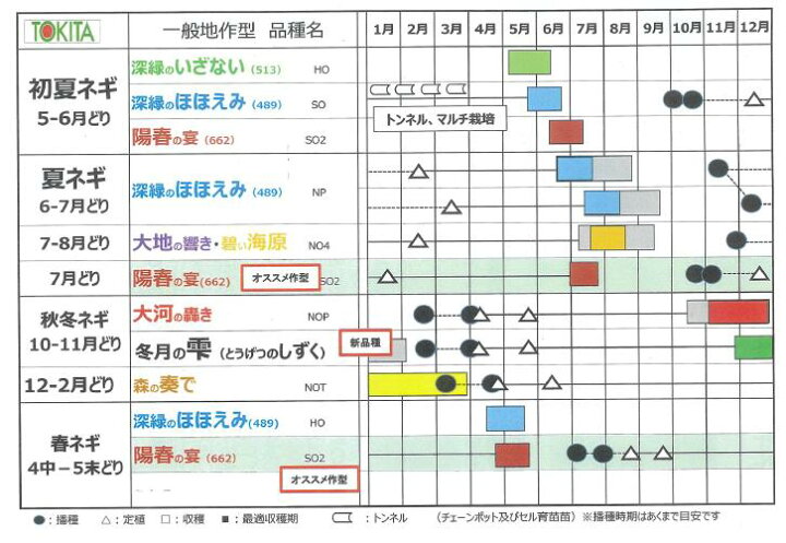 楽天市場】ネギ 種 大地の響き 【コート5000粒】 トキタ種苗 営利用 