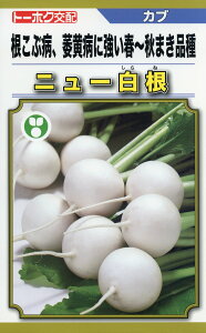 Ju  j[ g[zN   ƒ؉ v   _ ZNg