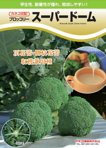 ubR[  X[p[h[ JlR  c   ƒ؉ v   _ ZNg