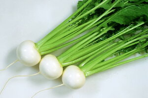 Ju  ~̏ JlR  c   ƒ؉ v   _ ZNg