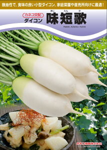 卪  Z JlR  c   ƒ؉ v   _ ZNg