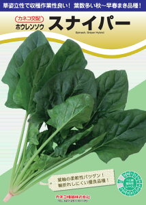 zE\E  XiCp[ @@ JlR  c   ƒ؉ v   _ ZNg