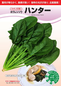 zE\E  n^[ @@ JlR  c   ƒ؉ v   _ ZNg