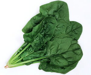 zE\E  TtbV @@ JlR  c   ƒ؉ v   _ ZNg