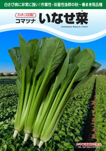 R}ci  Ȃ  JlR  c   ƒ؉ v   _ ZNg