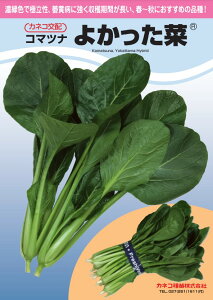 R}ci  悩  JlR  c   ƒ؉ v   _ ZNg