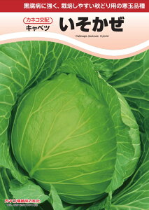 Lxc   JlR  c   ƒ؉ v   _ ZNg