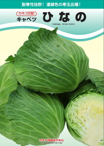 Lxc  ЂȂ JlR  c   ƒ؉ v   _ ZNg