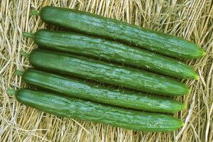 LE  G JlR  c   ƒ؉ v   _ ZNg