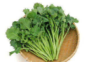   { JlR  c   ƒ؉ v   _ ZNg