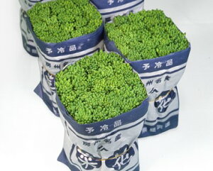 ؉  CRt JlR  c   ƒ؉ v   _ ZNg