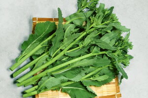   ̂炿 JlR  c   ƒ؉ v   _ ZNg