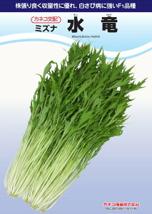    JlR  c   ƒ؉ v   _ ZNg