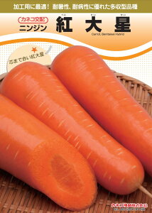 ニンジン 種 紅大星 カネコ 種 苗 種 野菜 プロ向け 農家 セレクト にんじん 人参 種 苗 野菜 タネ プロ向け 家庭菜園 たね 畑 種まき おいしい 畑仕事 送料無料 自然栽培野菜 種子 サラダ 野菜