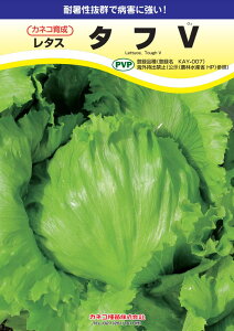 ^X  ^tV JlR  c   ƒ؉ v   _ ZNg