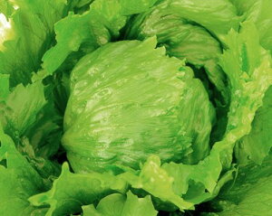 ^X  V^X JlR  c   ƒ؉ v   _ ZNg