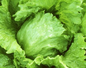 ^X  ~bV JlR  c   ƒ؉ v   _ ZNg