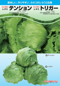 ^X  eV JlR  c   ƒ؉ v   _ ZNg