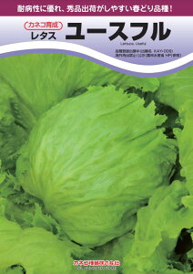 ^X  [Xt JlR  c   ƒ؉ v   _ ZNg