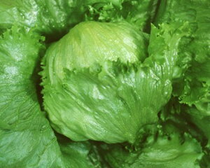 ^X  J}[MR JlR  c   ƒ؉ v   _ ZNg