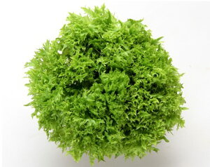 ^X  }`[t2 JlR  c   ƒ؉ v   _ ZNg