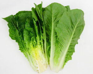 ^X  Ag JlR  c   ƒ؉ v   _ ZNg