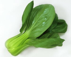 `QTC  ~O JlR  c   ƒ؉ v   _ ZNg