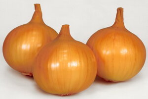 ʂ˂  X[ ^}lM JlR  c   ƒ؉ v   _ ZNg