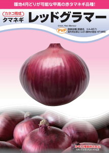 ʂ˂  bhO}[ ^}lM JlR  c   ƒ؉ v   _ ZNg