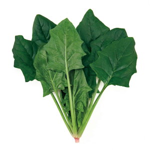 zE\E  @@ X[p[Z[u TJ^  ^l ƒ؉ v   _ ZNg