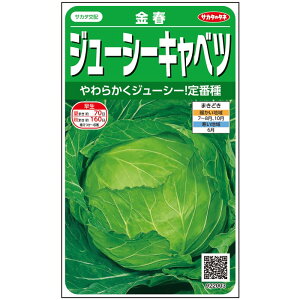 Lxc  t TJ^  ^l ƒ؉ v   _ ZNg ׂ ×