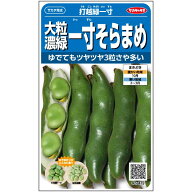 そら豆 種 打越緑一寸 ソラマメ サカタ の タネ 家庭菜園 プロ向け 大袋 小袋 農家 セレクト 野菜の種 菜…
